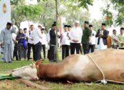 Polda Riau Salurkan 52 Hewan Qurban