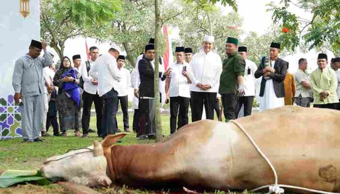 Polda Riau Salurkan 52 Hewan Qurban