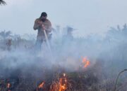 Polisi bersama Warga Pelalawan Padamkan Kebakaran Lahan di HGU PT. Permata Hijau Indonesia