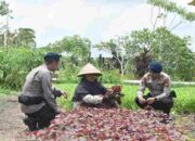 Brimob Polda Riau Lakukan Patroli Dialogis ke Petani Sayuran