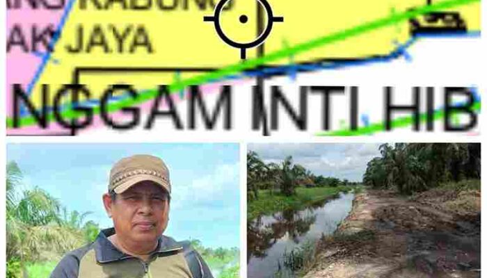 Aneh Bin Ajaib….KUD Delima Sakti Ngaku Miliki Izin,Tapi Nyatanya Statusnya Masih Kawasan Hutan