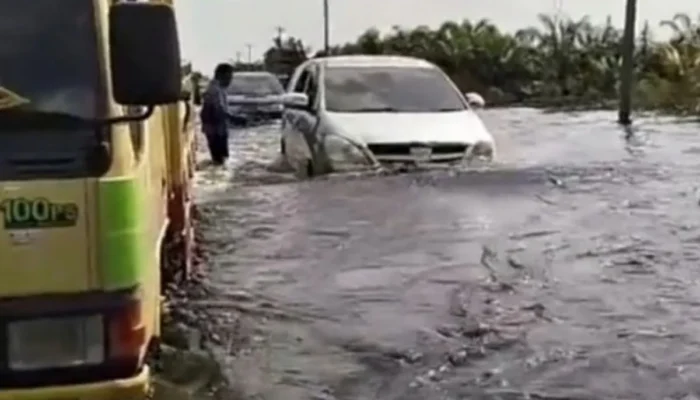 Banjir Riau, Kabupaten Pelalawan Terparah Dampaknya